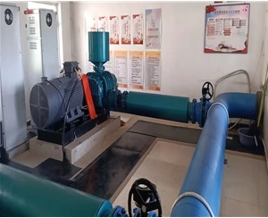 燃?xì)庑袠I(yè)配套羅茨鼓風(fēng)機